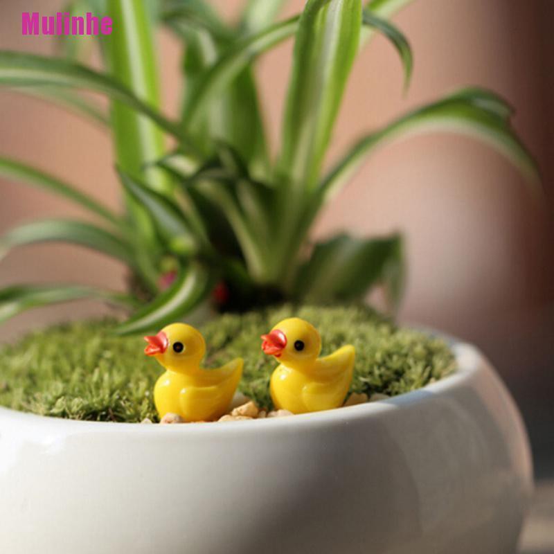 Set 6 tượng vịt vàng dùng trang trí vườn thu nhỏ