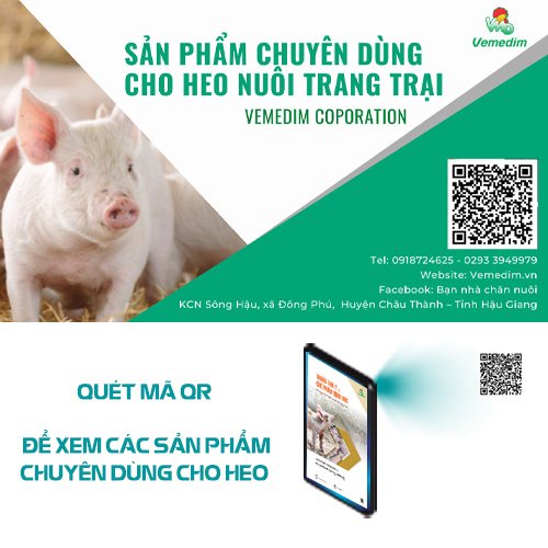 Vemedim Kill Sarli nhỏ lên gáy dùng cho heo bị ghẻ và rận, chai 100ml