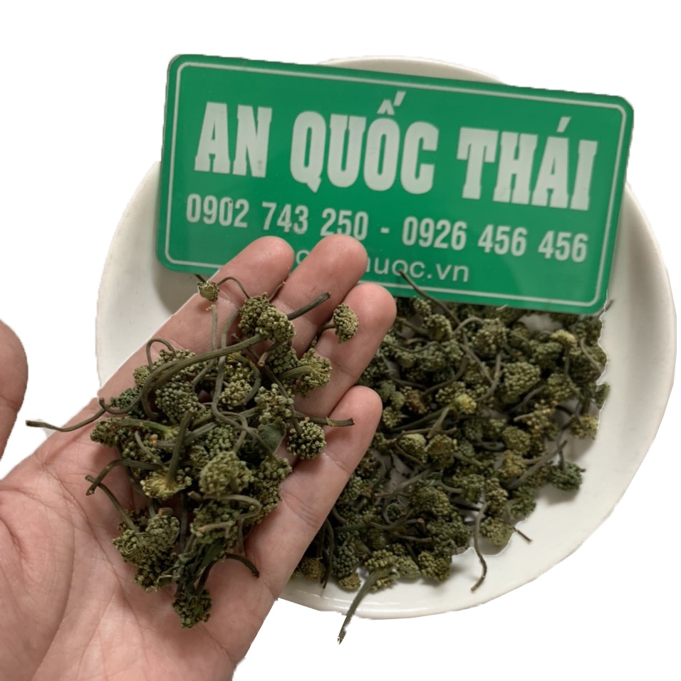 Nụ Tam Thất Bao Tử 100g Loại 1 (Xanh, Non, Thơm), Hoa Tam Thất Pha Trà Ngủ Ngon, Tốt Sức Khỏe | Thảo Dược An Quốc Thái