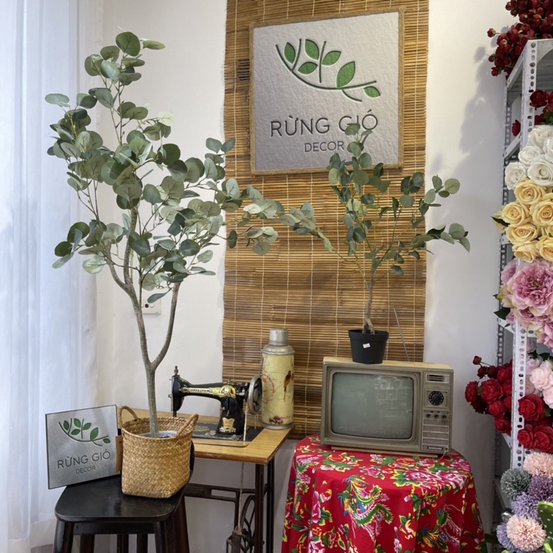 Cây Lá Táo, Bạch Đàn giả trang trí - Decor ngôi nhà đẹp hơn