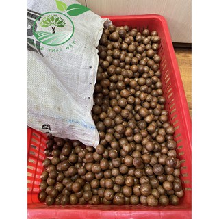 Hạt macca sấy Đắk Lắk loại cao cấp ( có dụng cụ tách hạt kèm theo).