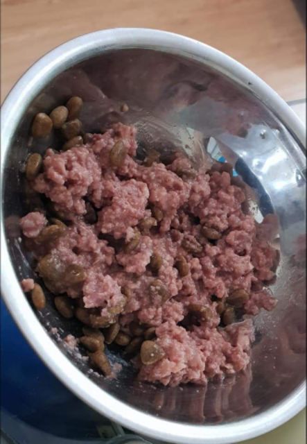 Pate cho chó morado