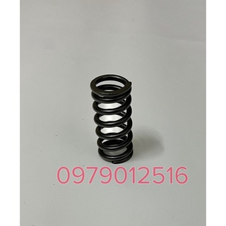 Bộ lò xo nồi Axelo ( 4 cái )