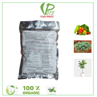 NẤM ĐỐI KHÁNG TRICHODERMA ĐIỀN TRANG GÓI 1KG