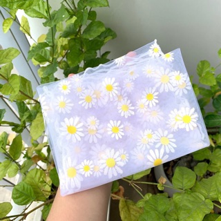 bandana hoa cúc trong suốt
