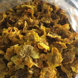100gam TRÀ HOA VÀNG RỪNG KHÔ