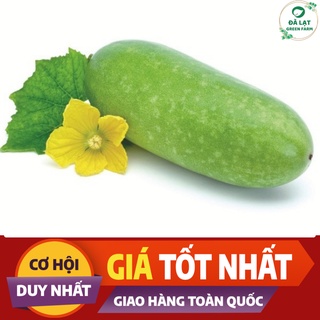 ⚡HẠT GIỐNG BÍ ĐAO CHANH_15 HẠT