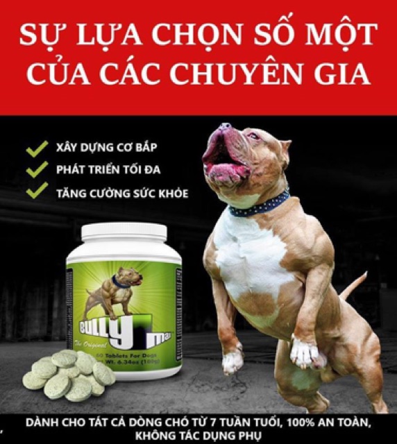 Bully MAX thuốc tăng cơ cho chó