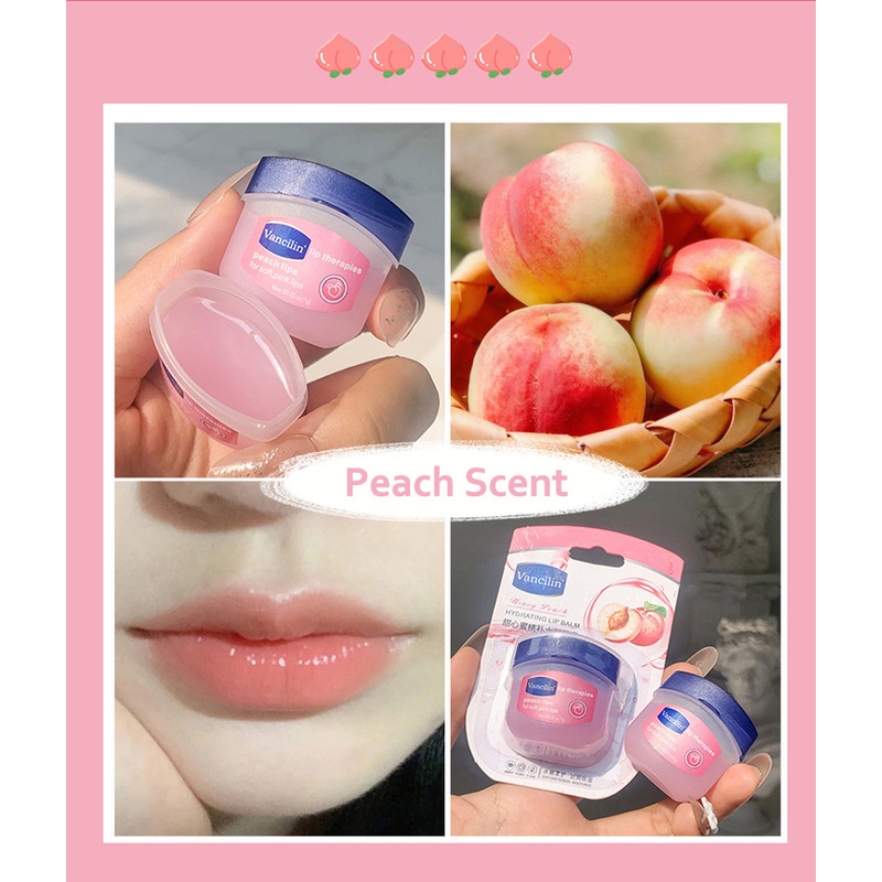 1 Thỏi Son Dưỡng Môi Chiết Xuất Thực Vật Tự Nhiên Dưỡng Ẩm Chống Nứt Nẻ