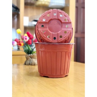 Chậu nhựa nâu N35