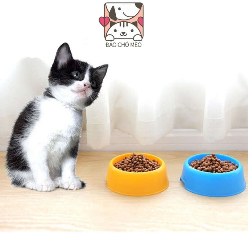 Bát ăn nhựa đơn bát ăn đơn siêu rẻ cho chó mèo - Đảo Chó Mèo