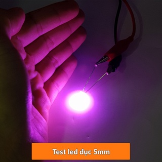 [HCM] Led 5mm màu Hồng ( 10 con)