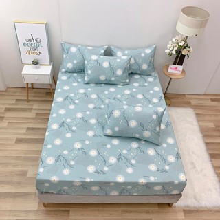 7.GA GỐI LẺ COTTON LỤA ( ẢNH SHOP TỰ CHỤP )