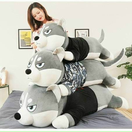 Gấu Bông Husky-Chó Husky Nhồi Bông Mặt Ngáo Siêu Đẹp, Siêu Cute