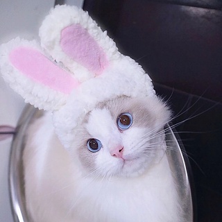 Cat Clothes Hat for Cats Accessories Cute Dog Hat Cat Dogs Costume Cosplay Rabbit Suit for Cat Hat for Kitten Dog Fancy Dress