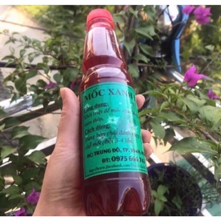 mốc lác gà đá