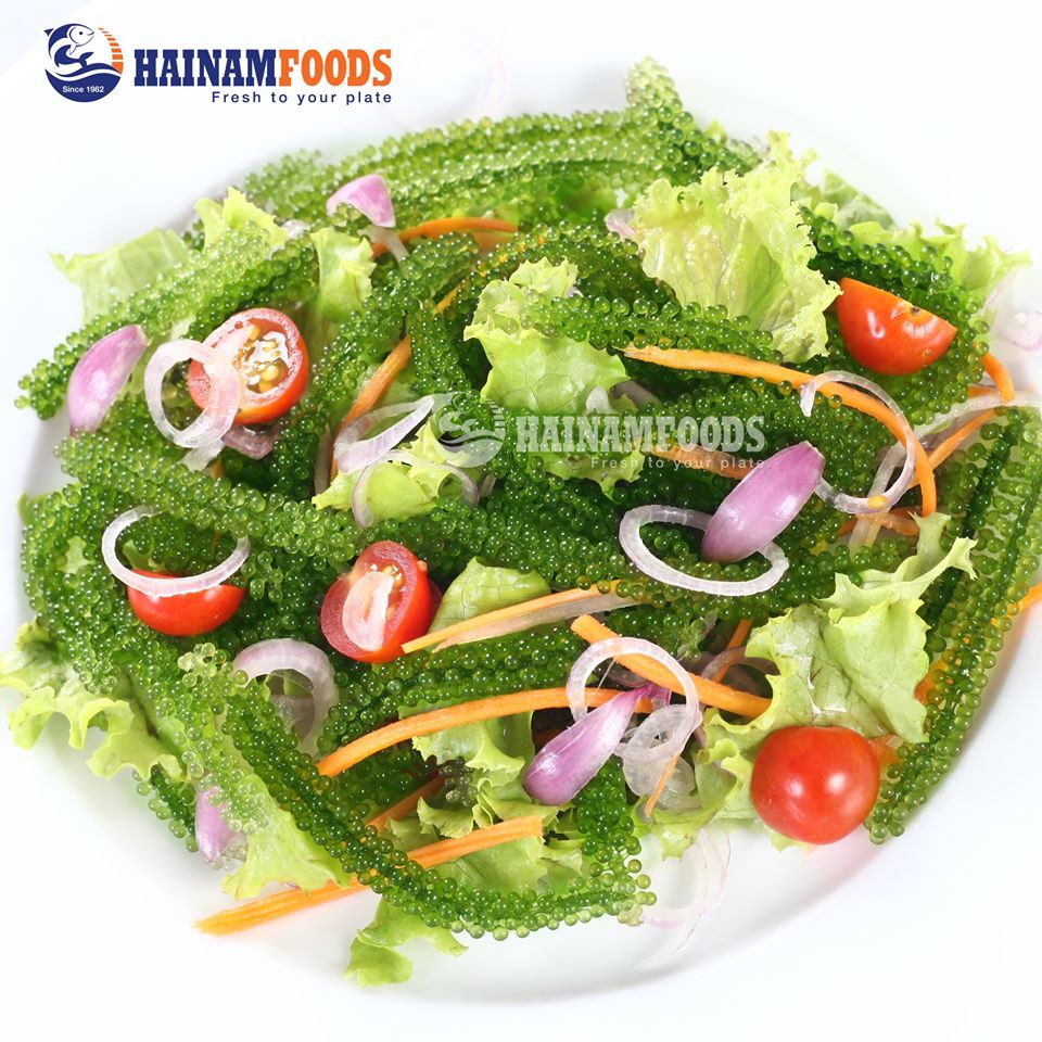 RONG NHO TÁCH NƯỚC HẢI NAM OKINAWA + XỐT MÈ RANG