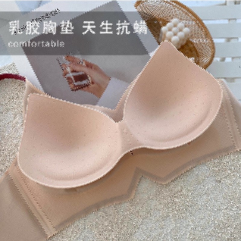 Áo Ngực Thể Thao Cao Cấp Cho Nữ | BigBuy360 - bigbuy360.vn