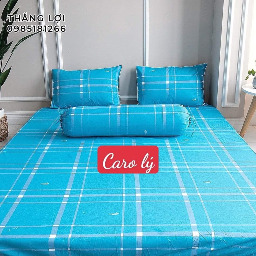 Chăn Cotton Thắng lợi 100% chính hãng, Cao Cấp, Mềm Mịn, Thoáng Mát, Không phai màu,Không xù lông,Hàng Xuất Khẩu