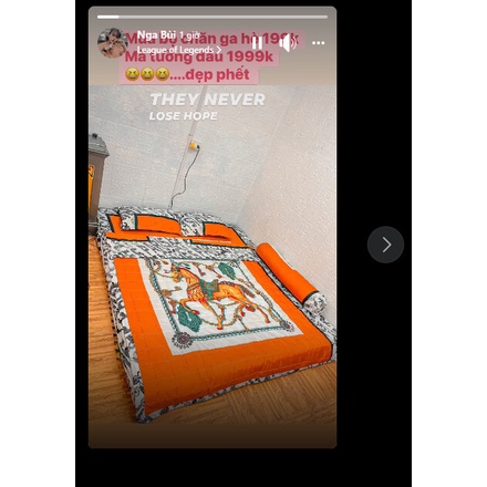 Bộ ga gối Cotton Poly mẫu mới 2022, miễn phí bo chun drap giường