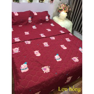 Combo chăn tencel chó , 1 cái gối caosu mới màu nâu, chiếu dh m2