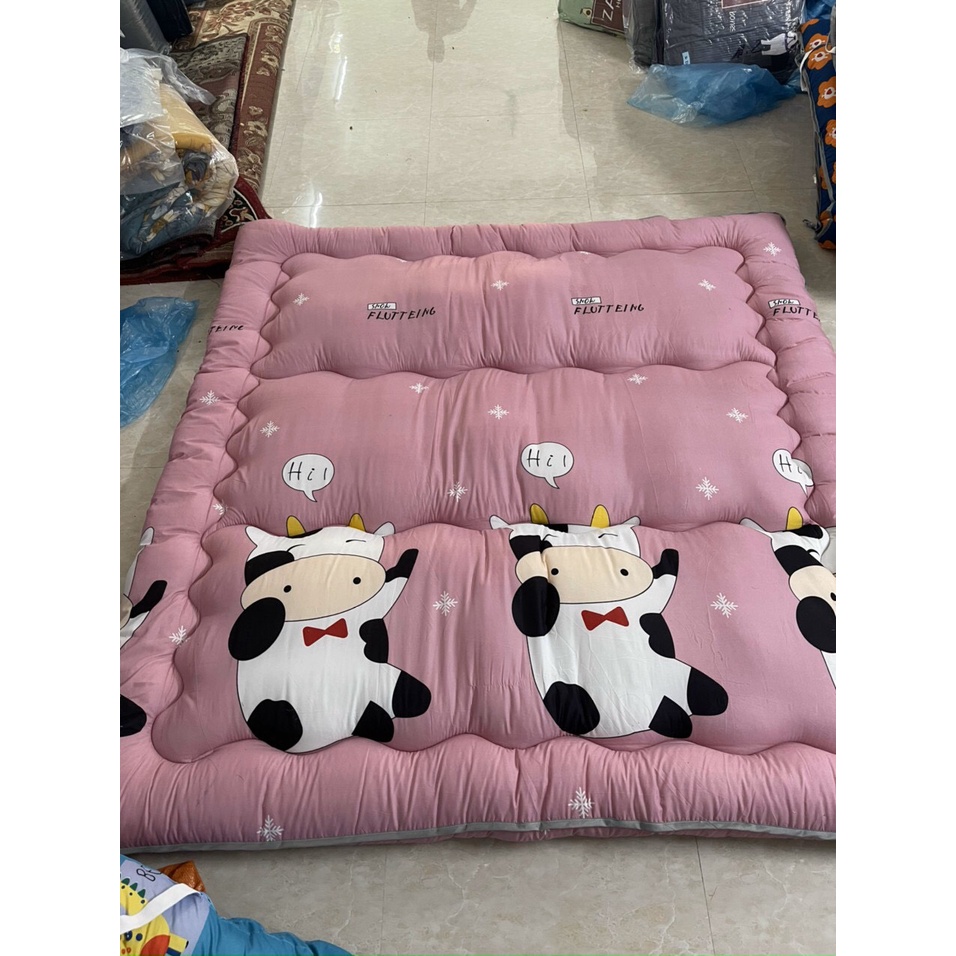 Tấm Làm Mềm, Đệm Topper Cao Cấp Mẫu Mới