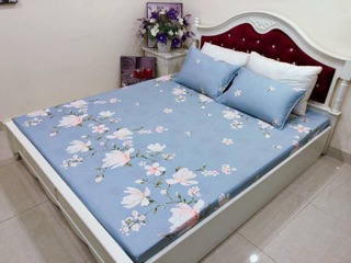 Bộ ga gối cottong lạnh
