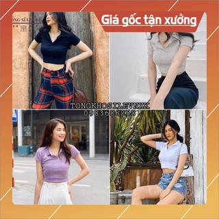 Giá xưởng áo polo croptop len tăm đen trắng xám tím ulzzang - croptop len tăm cổ bẻ basic