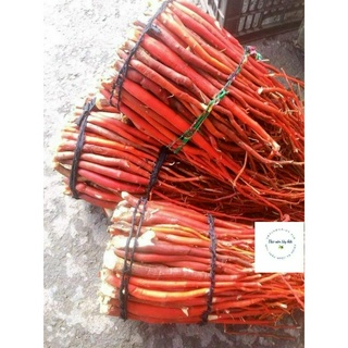 1kg sâm cau đỏ tươi, khô ngâm rượu bổ thận tráng dương, tăng cường sinh lý