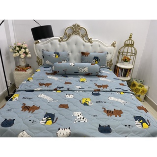 Bộ Drap thun Hàn Quốc loại 1 có mền 5 món hoặc mền lẻ