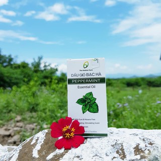 Dầu Gió Bạc Hà ( Hộp 2 chai)