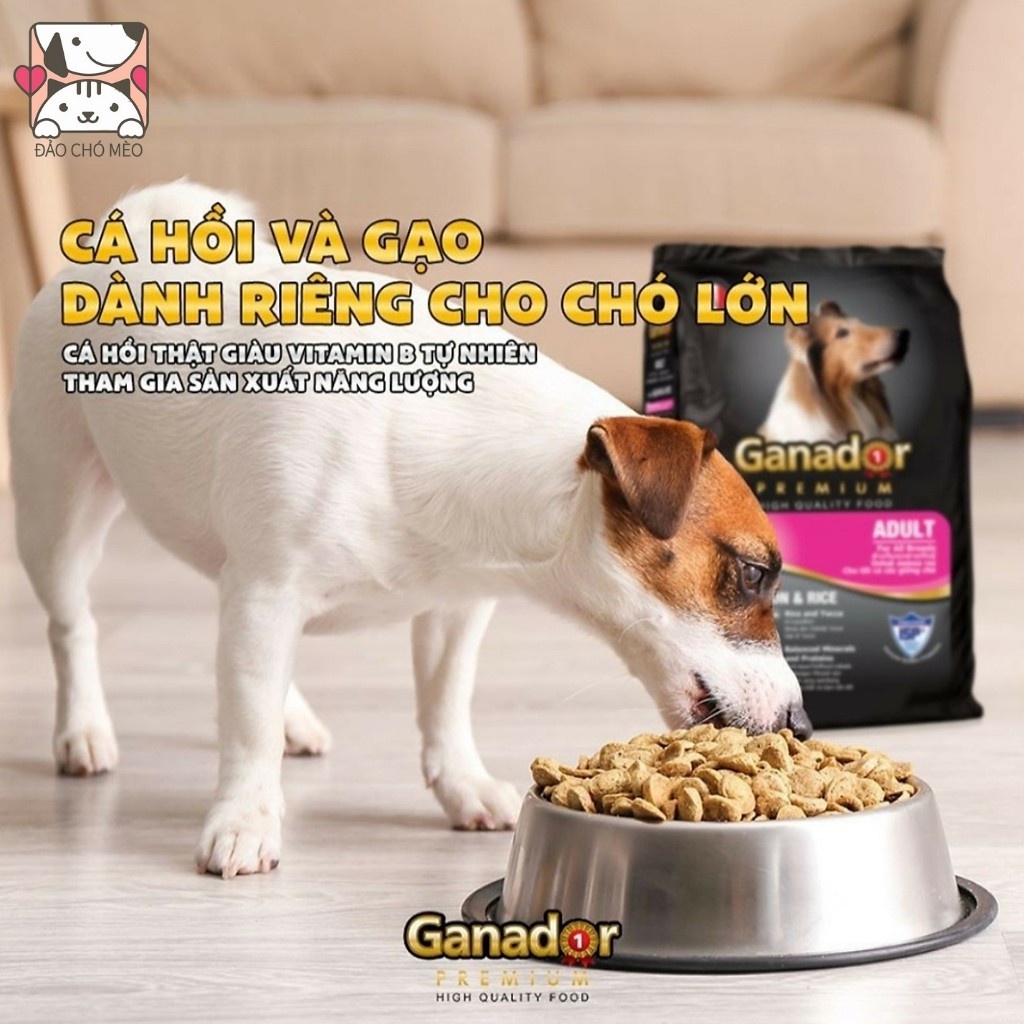 Thức ăn cho chó Gói 3KG Thức ăn cho chó giàu dinh dưỡng mượt lông tăng cân Ganador - FIB's - adult - puppy- Đảo Chó Mèo