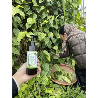 DUNG DỊCH VỆ SINH PHỤ NỮ THẢO DƯỢC TÂM AN