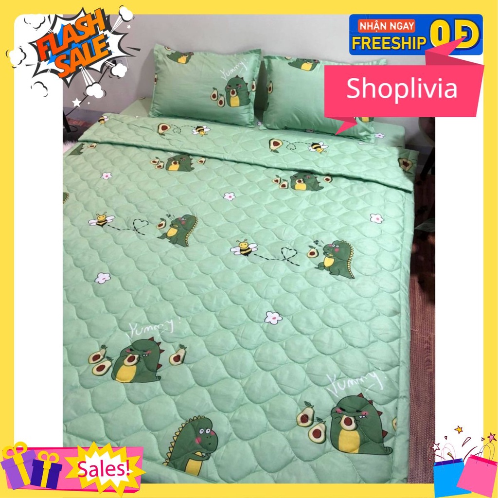 Chăn Hè Thu Trần Bông 2 Mặt Poly 1m8x2m[mẫu khủng long bơ]