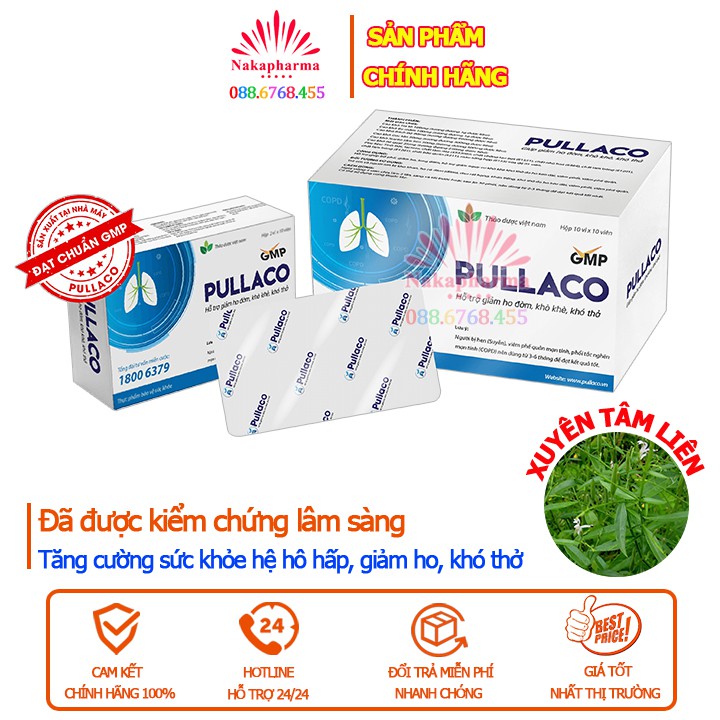 PULLACO thành phần Xuyên Tâm Liên| HỖ TRỢ BỔ PHẾ, GIẢM HO, LONG ĐỜM, NGỪA VIÊM PHẾ QUẢN
