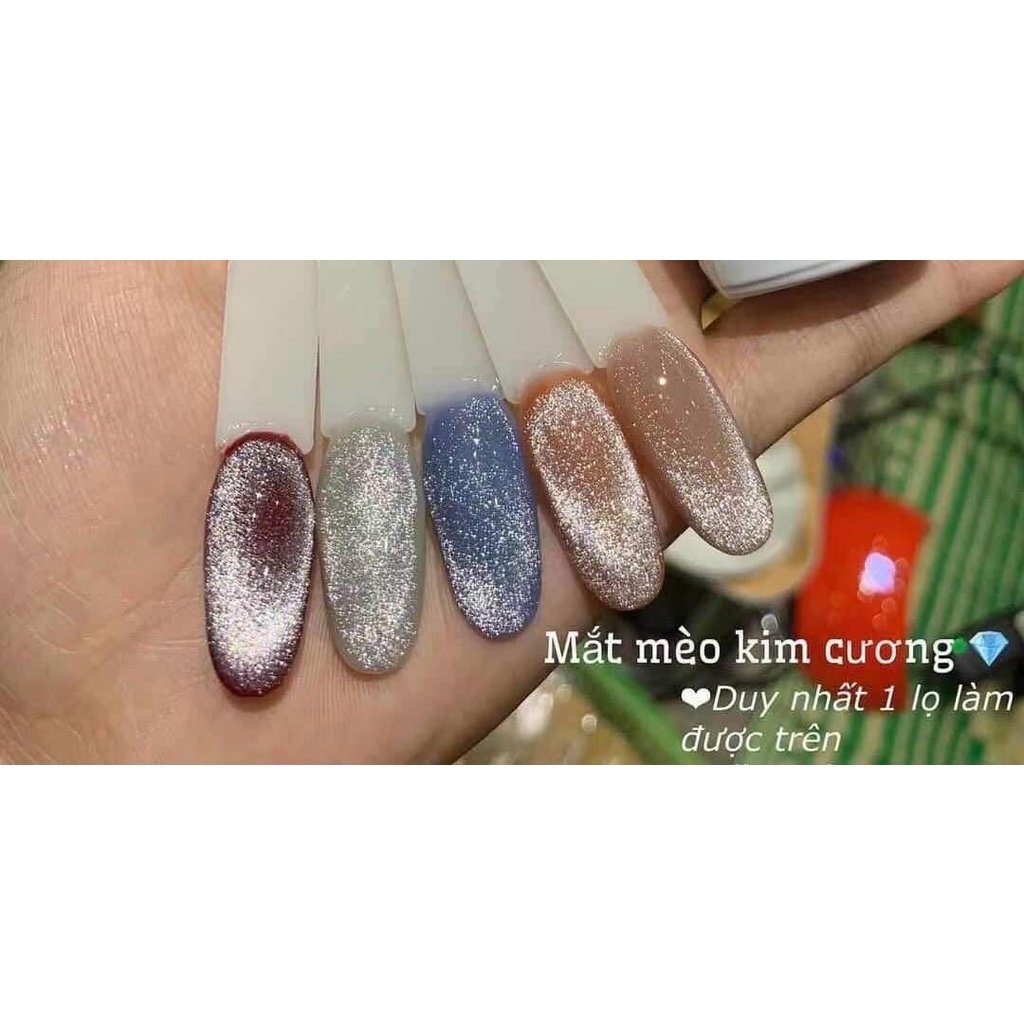 Sơn gel mắt mèo kim cương Huaxi 15ml