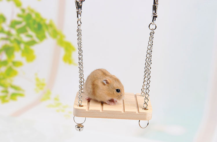 Đồ Chơi Treo Bằng Gỗ Có Chuông Nhỏ Cho Hamster