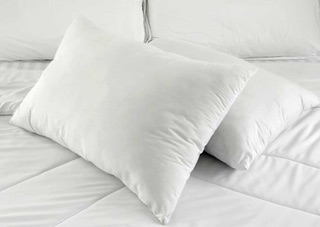 Ruột gối ép hơi cao cấp 40cm x60cm