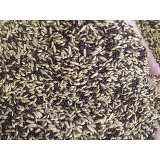 hạt trộn bỉ thức ăn cho yến hót 1kg