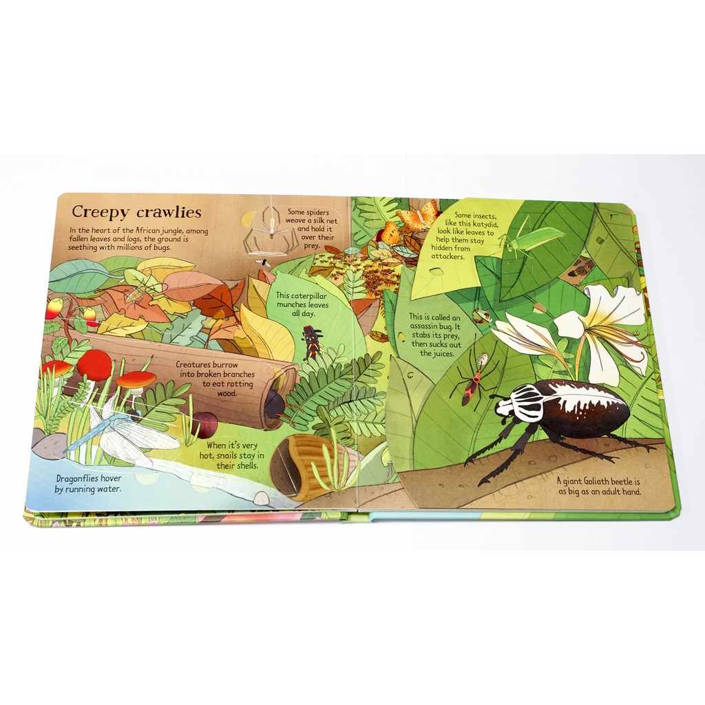 Sách lật mở Look Inside Jungle Usborne cho bé