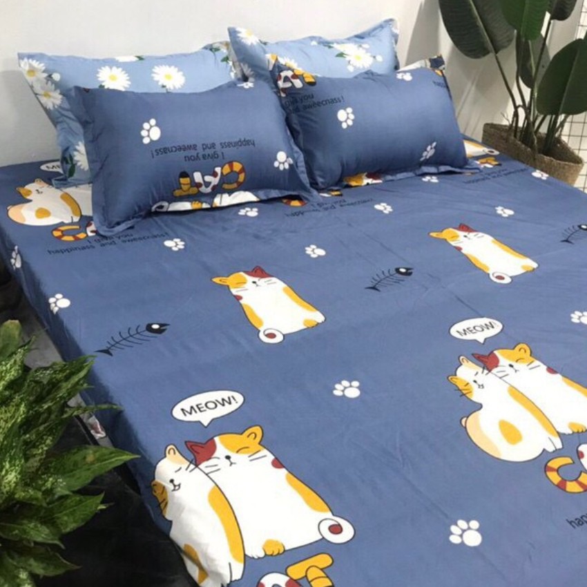 Vỏ Gối Nằm Polly KT 45*65CM MẪU MÈO ĐÔI | BigBuy360 - bigbuy360.vn