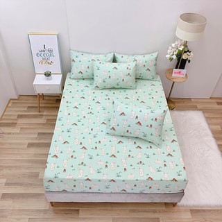 7.GA GỐI LẺ COTTON LỤA ( ẢNH SHOP TỰ CHỤP )