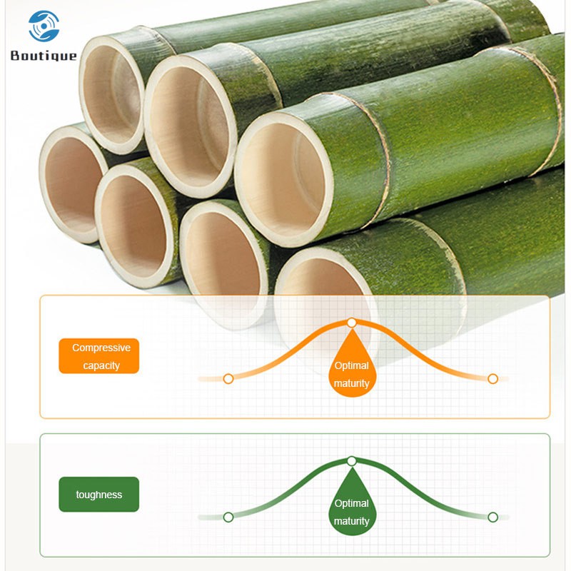 Giá Để Giày 2 / 3 Tầng Tiện Lợi