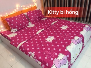 Update cotton poly mẫu mới 