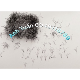 Mi fan 3d-mi volume 3d-dụng cụ nối mi anh tuấn
