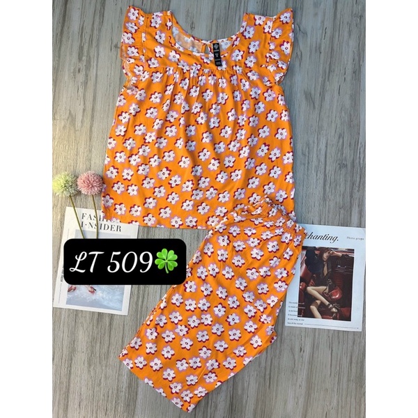 đồ bộ lửng tole