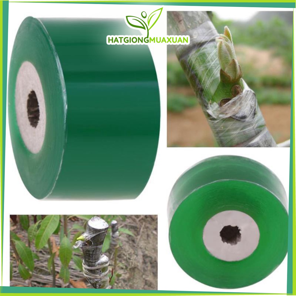 Băng Keo/ Băng Dính Ghép Cây Xanh Tự Dính Giúp Bảo Vệ Mối Ghép