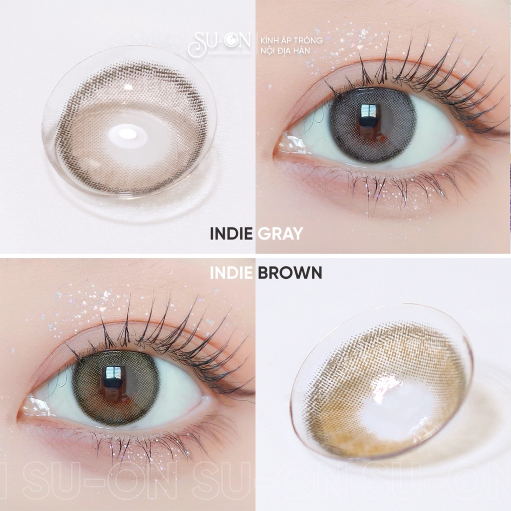 Lens 1 ngày Ann365 INDIE BROWN áp tròng 14,2mm, nâu trong trà sữa Hàn Quốc, siêu êm đeo 24h