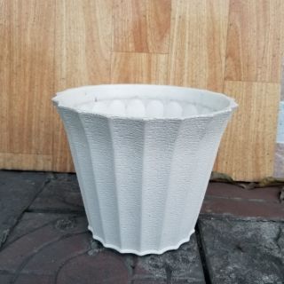 Chậu Khía trắng trồng cây ,hoa