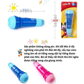 Micro đồ chơi âm thanh Echo Microphone